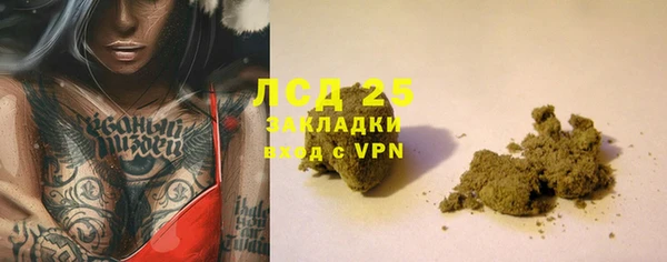 ПСИЛОЦИБИНОВЫЕ ГРИБЫ Алзамай