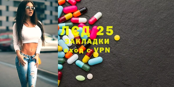 ПСИЛОЦИБИНОВЫЕ ГРИБЫ Алзамай
