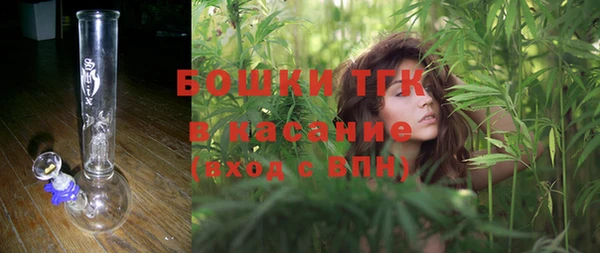 ПСИЛОЦИБИНОВЫЕ ГРИБЫ Алзамай