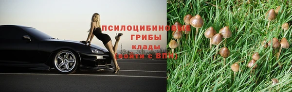 кокаин Алексеевка
